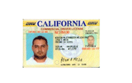 Suspended drivers license